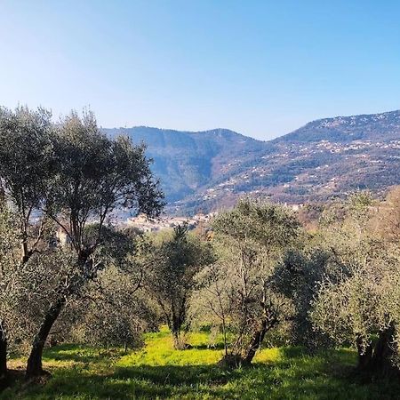 Bas De Villa. Cote D'Azur, A 20 Kms De Nice Конт Экстерьер фото